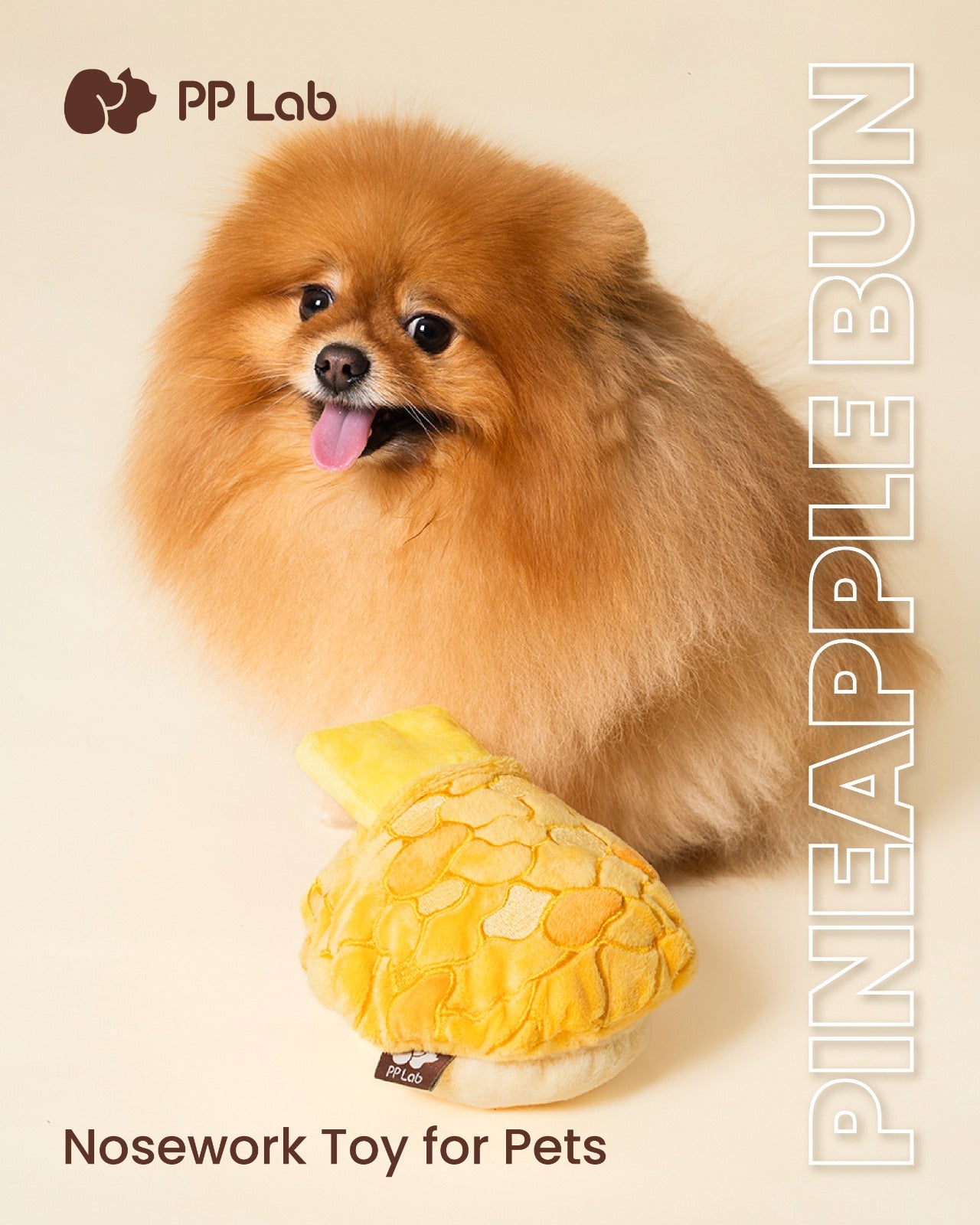 HK Pineapple Bun Dog Toy