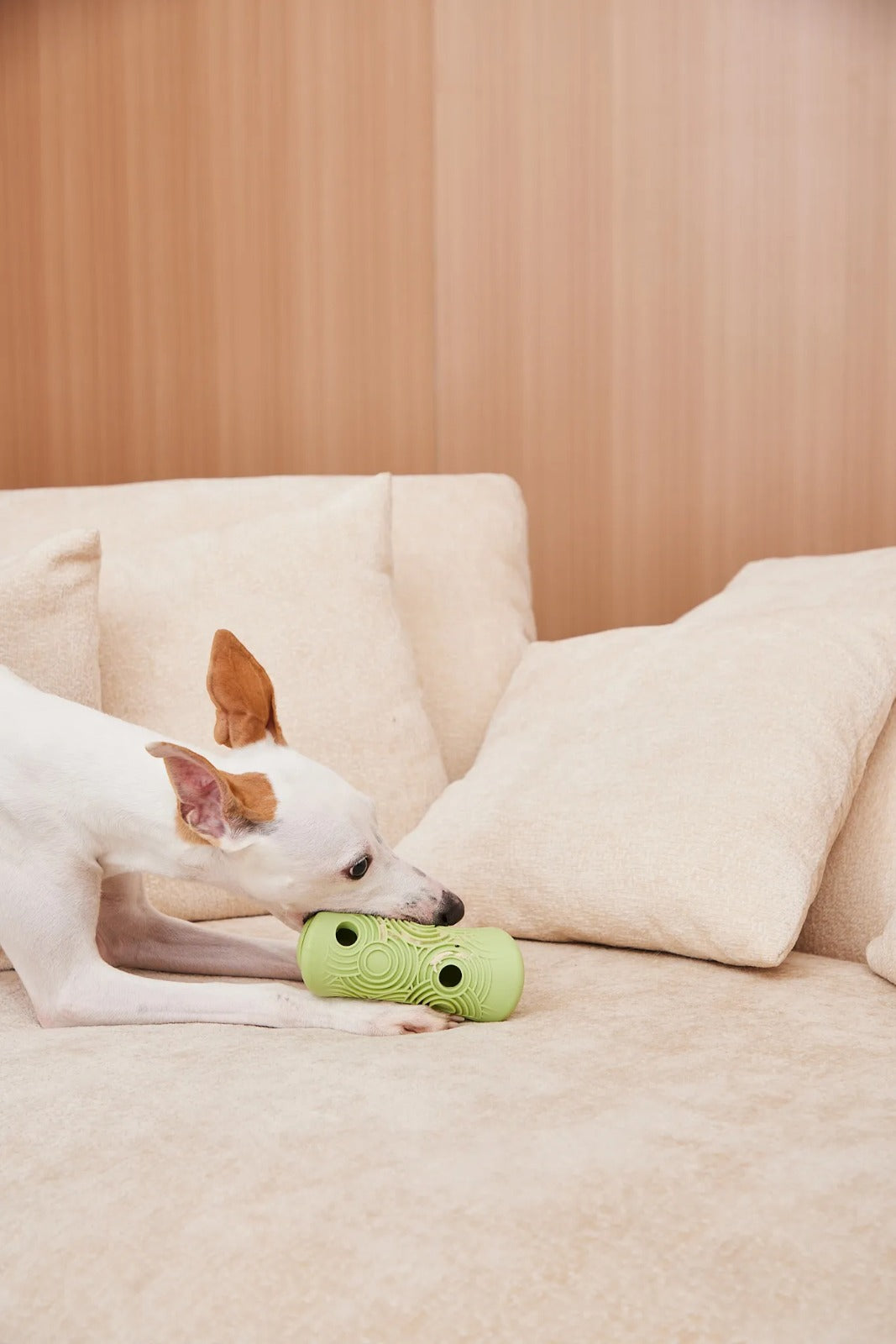 Zen Treat Toy Green