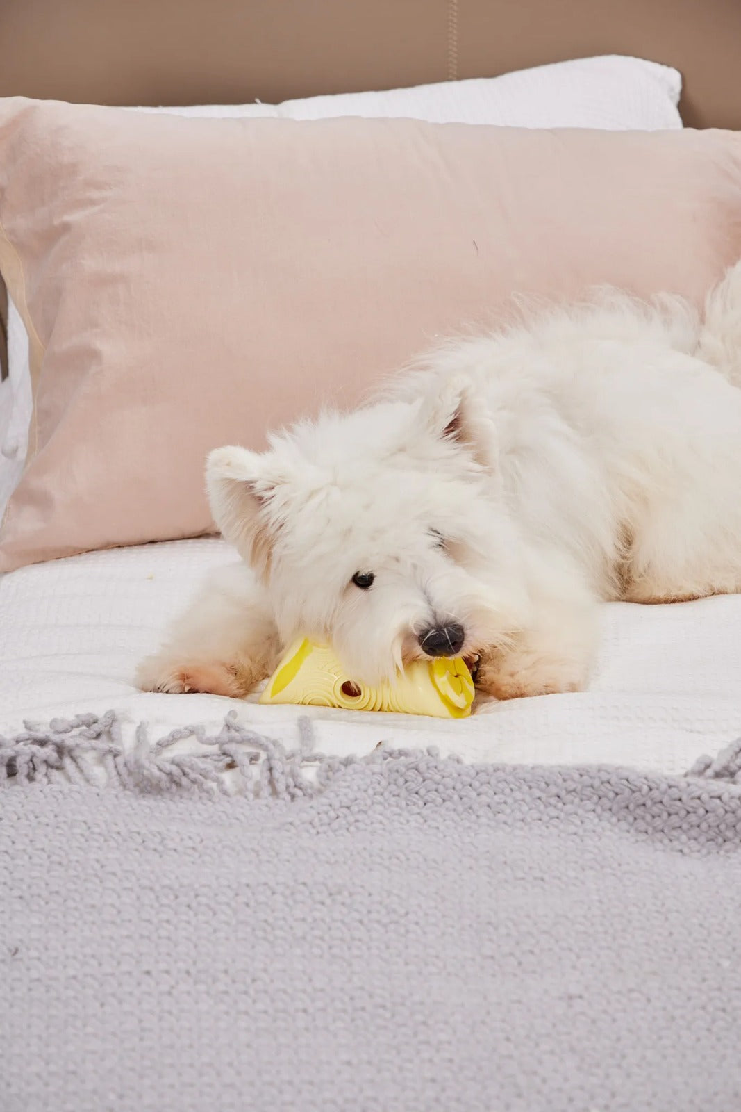 Zen Treat Toy Yellow