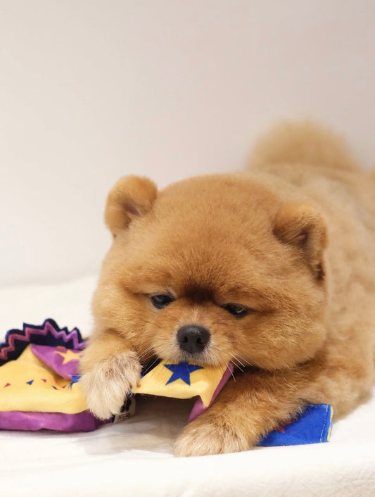 Popping Candy Dog Toy
