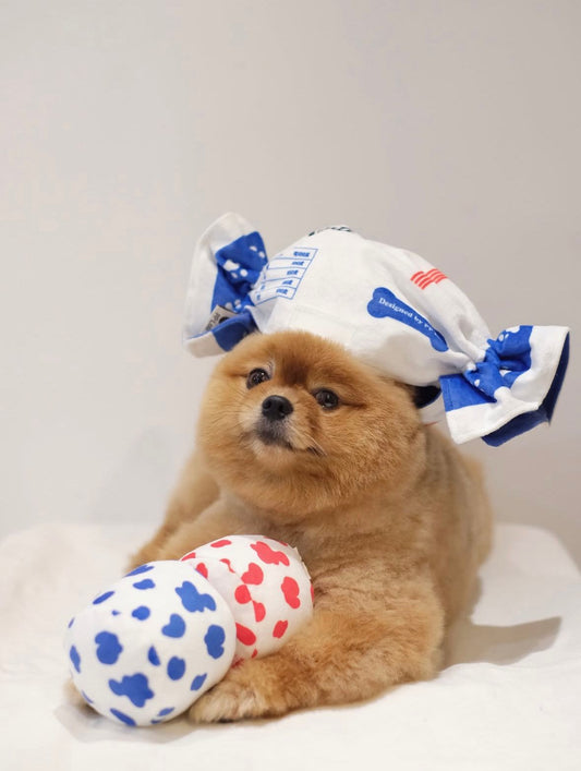 White Rabbit Candy Dog Toy