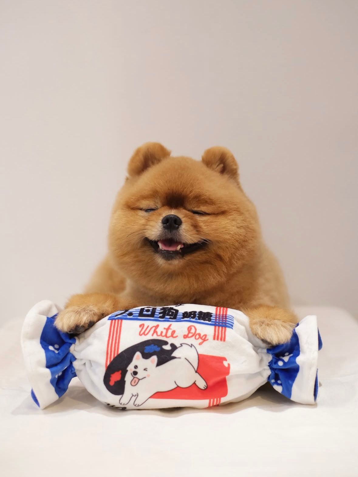 White Rabbit Candy Dog Toy