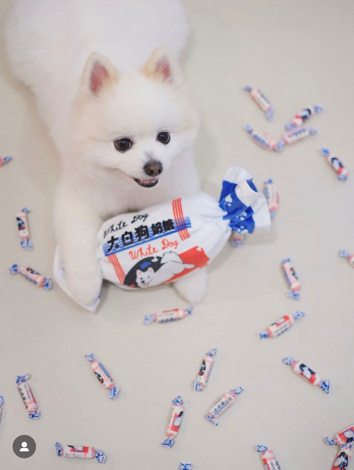 White Rabbit Candy Dog Toy