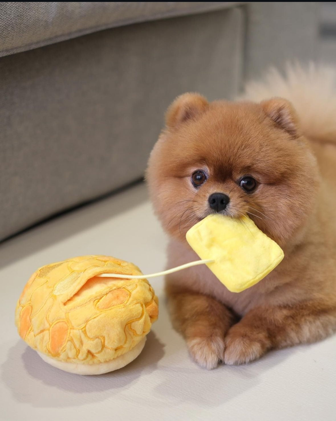 HK Pineapple Bun Dog Toy