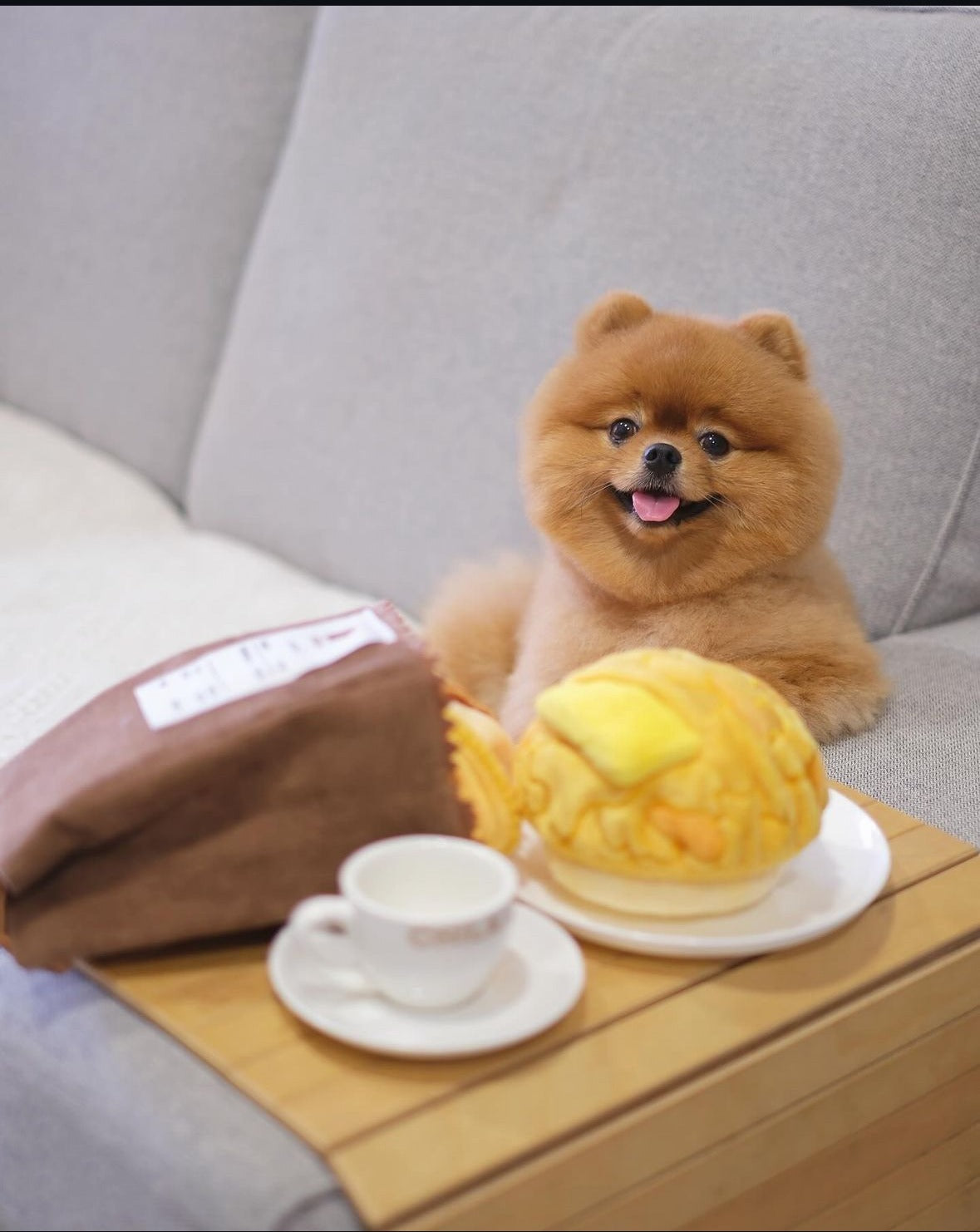 HK Pineapple Bun Dog Toy