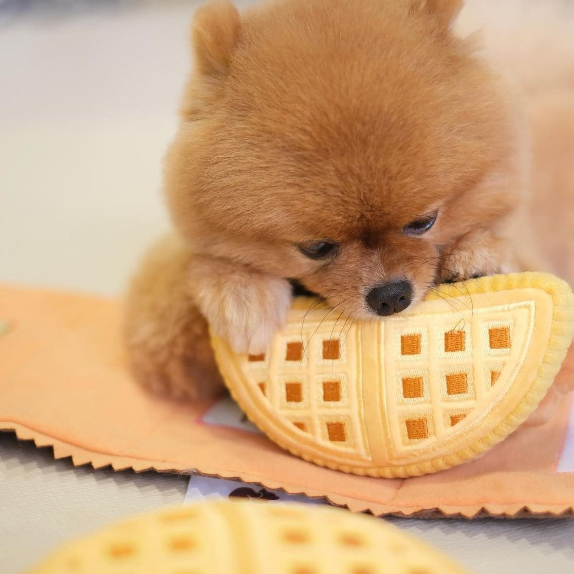 HK Waffle Dog Toy